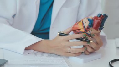 Doktor yaşlı bir hastaya kalp çalışmalarını açıklamak için bir kalp modeli kullanıyor. Anatomisi hakkında net ve detaylı bir özet sunuyor..