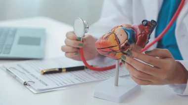 Doktor yaşlı bir hastaya kalp çalışmalarını açıklamak için bir kalp modeli kullanıyor. Anatomisi hakkında net ve detaylı bir özet sunuyor..