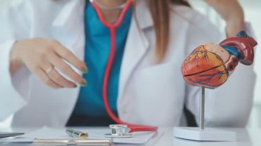 Doktor yaşlı bir hastaya kalp çalışmalarını açıklamak için bir kalp modeli kullanıyor. Anatomisi hakkında net ve detaylı bir özet sunuyor.