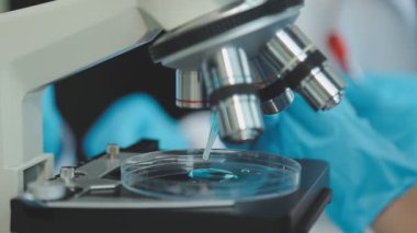 Bir grup genç araştırmacı çağdaş bir laboratuvar ortamında yeni bir aşı geliştirmeye odaklanmış durumda.