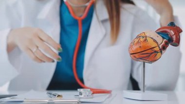 Doktor kalbi yaşlı bir hastaya detaylı bir kalp modeli kullanarak yapısını ve işlevini anlatıyor..