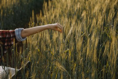 Smart farm. Farmer with tablet in the field. Agriculture, gardening or ecology concept. Harvesting. Agro business.