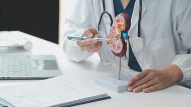 Doktor ofisinde tablet bilgisayar tutuyor..