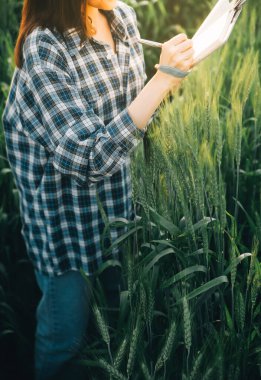 Smart farm. Farmer with tablet in the field. Agriculture, gardening or ecology concept. Harvesting. Agro business.