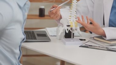 Omurga modeli olan doktor.