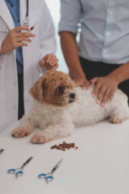Veteriner doktor ve asistan veteriner kliniğinde köpek üzerinde birlikte çalışıyoruz. Hayvan sağlığı ve sağlık hizmetleri konseptini inceliyoruz. Yakın plan..
