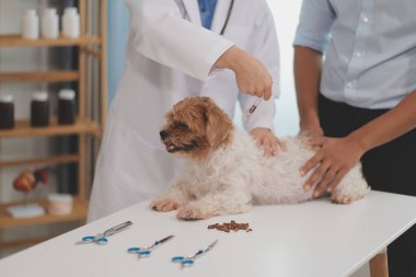 Veteriner doktor ve asistan veteriner kliniğinde köpek üzerinde birlikte çalışıyoruz. Hayvan sağlığı ve sağlık hizmetleri konseptini inceliyoruz. Yakın plan..