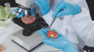 Gıda kalite kontrolü uzmanları modern laboratuvardaki bakkaliyeleri dikkatle inceliyorlar.