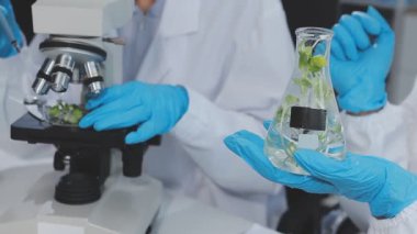 Gıda kalite kontrolü uzmanları modern laboratuvardaki bakkaliyeleri dikkatle inceliyorlar.