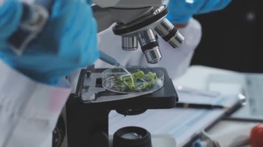 Son teknoloji bir gıda laboratuvarında çalışan tıp bilimadamı, yeni bitki türlerini inceliyor.