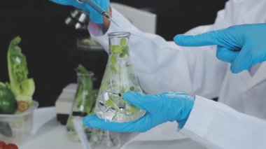 Örnek şişedeki Sağlıklı Yeşil Bitki 'ye bakan bir mikrobiyolog. Gelişmiş Teknoloji Mikroskopları ve Bilgisayarlarıyla Modern Gıda Bilimleri Laboratuvarında çalışan bir tıp bilimcisi.