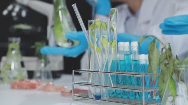 Son teknoloji bir gıda laboratuvarında çalışan tıp bilimadamı, yeni bitki türlerini inceliyor.