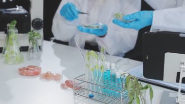 Gıda kalite kontrolü uzmanları modern laboratuvardaki bakkaliyeleri dikkatle inceliyorlar.
