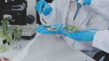 Gıda kalite kontrolü uzmanları modern laboratuvardaki bakkaliyeleri dikkatle inceliyorlar.