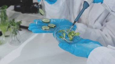 Gıda kalite kontrolü uzmanları modern laboratuvardaki bakkaliyeleri dikkatle inceliyorlar.