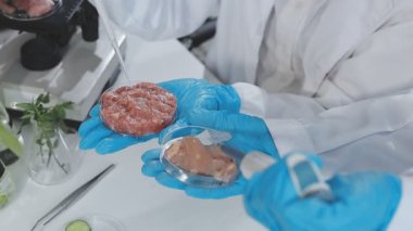 Gıda kalite kontrol uzmanları modern laboratuvarda et numunelerini inceliyorlar.