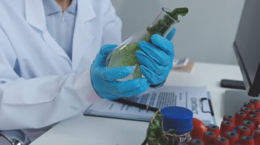 Örnek şişedeki Sağlıklı Yeşil Bitki 'ye bakan bir mikrobiyolog. Gelişmiş Teknoloji Mikroskopları ve Bilgisayarlarıyla Modern Gıda Bilimleri Laboratuvarında çalışan bir tıp bilimcisi.
