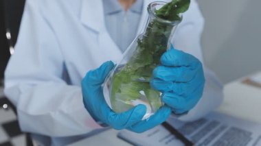 Örnek şişedeki Sağlıklı Yeşil Bitki 'ye bakan bir mikrobiyolog. Gelişmiş Teknoloji Mikroskopları ve Bilgisayarlarıyla Modern Gıda Bilimleri Laboratuvarında çalışan bir tıp bilimcisi.