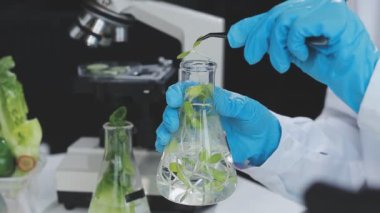 Son teknoloji bir gıda laboratuvarında çalışan tıp bilimadamı, yeni bitki türlerini inceliyor.