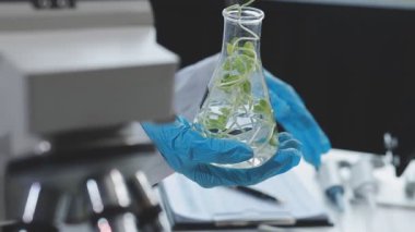 Son teknoloji bir gıda laboratuvarında çalışan tıp bilimadamı, yeni bitki türlerini inceliyor.