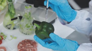 Modern bir laboratuvarda biberi modifiye etmek için şırınga kullanan laboratuvar önlüklü bir biyoloğa yakından bakın. Genetik olarak değiştirilmiş organizma konsepti