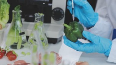 Modern bir laboratuvarda biberi modifiye etmek için şırınga kullanan laboratuvar önlüklü bir biyoloğa yakından bakın. Genetik olarak değiştirilmiş organizma konsepti