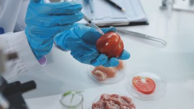 Kalitesini artırma. Üniforma giyen ve domates test akıllı profesyonel biyolog