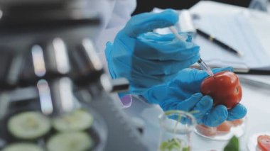Kalitesini artırma. Üniforma giyen ve domates test akıllı profesyonel biyolog