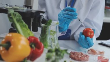 Kalitesini artırma. Üniforma giyen ve domates test akıllı profesyonel biyolog