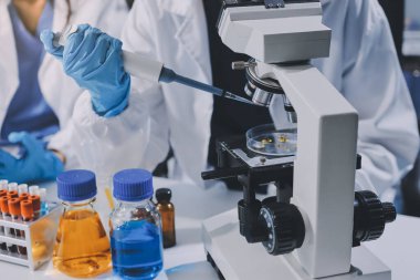 Laboratuvarda mikroskop kullanan bir bilim adamı. Laboratuvar ortamında modern bir mikroskobu ayarlayan bir araştırmacının ellerine yakın çekim. Bilim konsepti