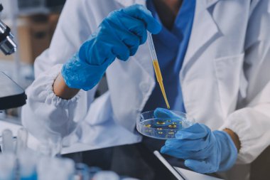 Laboratuvarda mikroskop kullanan bir bilim adamı. Laboratuvar ortamında modern bir mikroskobu ayarlayan bir araştırmacının ellerine yakın çekim. Bilim konsepti