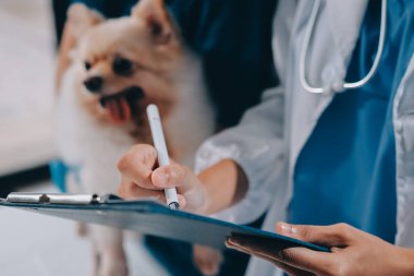 Köpek stetoskop Veteriner Kliniği tarafından kontrol veteriner eller closeup çekim