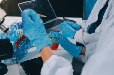 Laboratuvarda mikroskop kullanan bir bilim adamı. Laboratuvar ortamında modern bir mikroskobu ayarlayan bir araştırmacının ellerine yakın çekim. Bilim konsepti