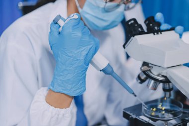 Laboratuvarda mikroskop kullanan bir bilim adamı. Laboratuvar ortamında modern bir mikroskobu ayarlayan bir araştırmacının ellerine yakın çekim. Bilim konsepti