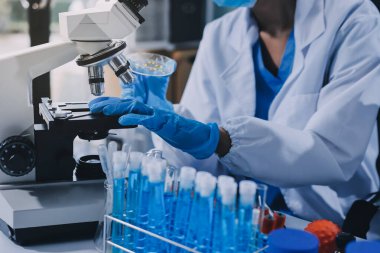 Laboratuvarda mikroskop kullanan bir bilim adamı. Laboratuvar ortamında modern bir mikroskobu ayarlayan bir araştırmacının ellerine yakın çekim. Bilim konsepti