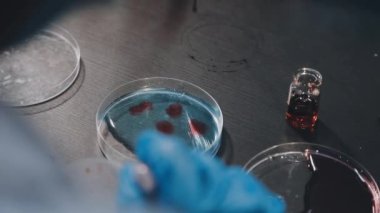 Laboratuvarda deney tüpü ve sıvıyı petri kabıyla tutan bilim adamının yakın görüntüsü.