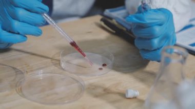 Laboratuvarda bilim adamı