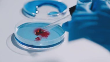 Laboratuvarda mavi sıvıdaki kan