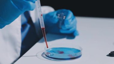 Laboratuvarda örnek tüpüyle bilim adamı.