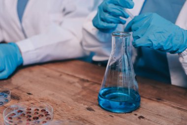 Laboratuvarda kan testi. Dispanser ile çalışan laboratuvar asistanı. Kanlı vakum tüpleri..