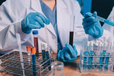 Laboratuvarda kan testi. Dispanser ile çalışan laboratuvar asistanı. Kanlı vakum tüpleri..