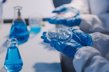 Test tüpü ve mikro pipetli mikrobiyolojik araştırma.