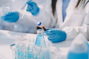 Test tüpü ve mikro pipetli mikrobiyolojik araştırma.