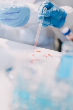 Test tüpü ve mikro pipetli mikrobiyolojik araştırma.