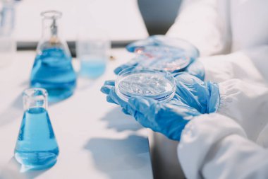 Test tüpü ve mikro pipetli mikrobiyolojik araştırma.