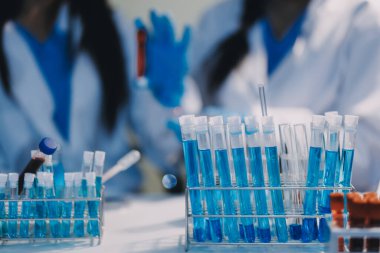 Test tüpü ve mikro pipetli mikrobiyolojik araştırma.