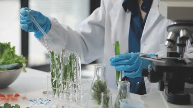 Laboratuvarda bilim adamı.