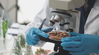 Yakın plan. Laboratuvarda dururken elinde pipet tutan kadın bilim adamı elleri.