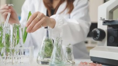 Laboratuvarda çalışan kadın bilim adamı.