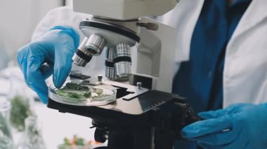 Mikroskoba bakan laboratuar asistanı